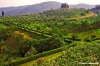 san_donato_collina652_23