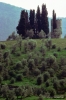 san_donato_collina652_25