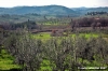 san_donato_in_collina