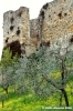 san_gimignano009