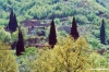 san_polo815_22