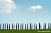 san_quirico_orcia01