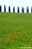 san_quirico_orcia04