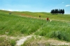 san_quirico_orcia08