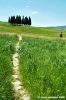 san_quirico_orcia09