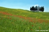 san_quirico_orcia11