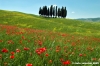 san_quirico_orcia14