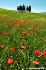 san_quirico_orcia18
