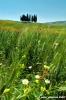 san_quirico_orcia21