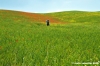 san_quirico_orcia24