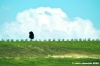 san_quirico_orcia34