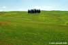san_quirico_orcia35