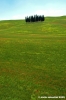 san_quirico_orcia36