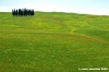 san_quirico_orcia37