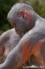 saturnia_terme39