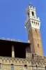 siena881_08