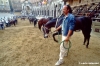 siena_palio876_46