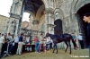 siena_palio877_06