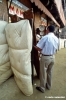 siena_palio878_13