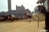 siena_palio878_32