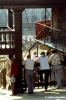 siena_palio879_46