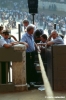 siena_palio880_10