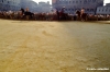 siena_palio880_14