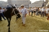 siena_palio880_15