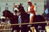 siena_palio880_29