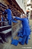 siena_palio880_50