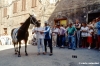 siena_palio881_35
