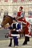 siena_palio882_19