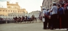 siena_palio883_18