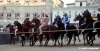 siena_palio883_22
