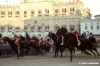 siena_palio883_26