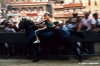 siena_palio883_36