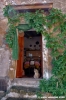 sorano035