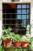 sovana042
