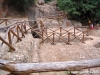 sovana_ildebranda16
