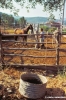talamone985_06