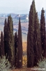 tavarnelle331_15
