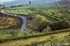 torre_a_cona652_22