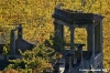 tosi_campagna001