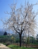 travalle84042645