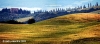 val_dorcia3