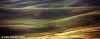 val_dorcia4
