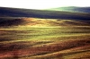 val_dorcia5
