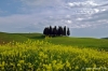 valdorcia_montalcino04
