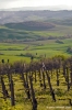 valdorcia_pienza09