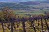 valdorcia_pienza10